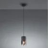 Trio Robin Single Head Modern Pendant