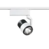 Duoline Track Lighting - Radiator CCT Light Fixing