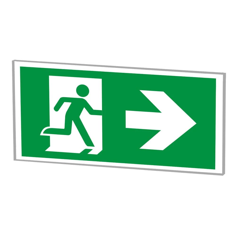 LED Recessed Ceiling Emergency Exit Signs 2 LED Recessed Ceiling Emergency Exit Signs - Image 2